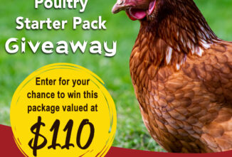 Backyard Poultry Starter Pack Giveaway